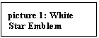 Text Box: picture 1: White Star Emblem 