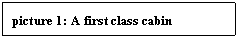 Text Box: picture 8: A first class cabin