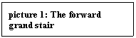 Text Box: picture 10: The forward grand stair