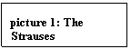 Text Box: picture 14: The Strauses