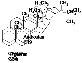 Hören Sie auf, Zeit zu verschwenden und beginnen Sie mit osteoporose steroide