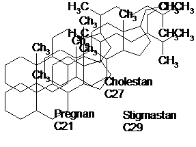 Muss eine Liste von steroide im internet bestellen -Netzwerken haben