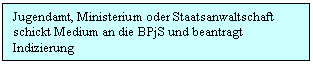 Text Box: Jugendamt, Ministerium oder Staatsanwaltschaft schickt Medium an die BPjS und beantragt Indizierung