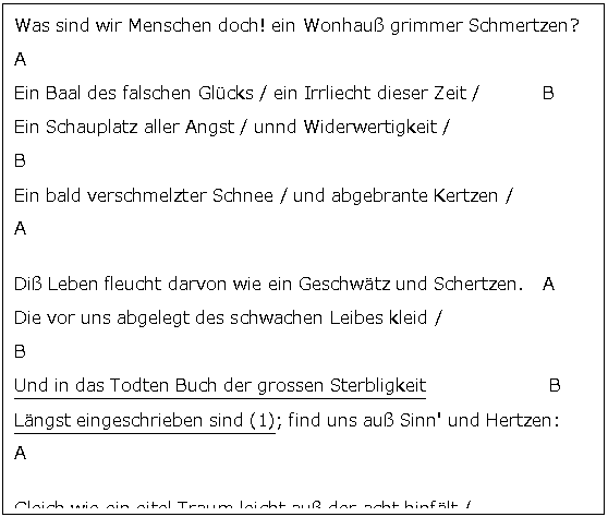 Text Box: Was sind wir Menschen doch! ein Wonhauß grimmer Schmertzen?