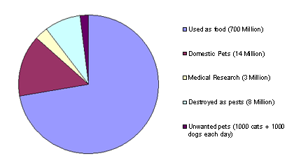 A pie chart to show the numbers of animals used in the UK in one year