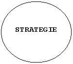 Oval: STRATEGIE
