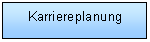 Text Box: Karriereplanung