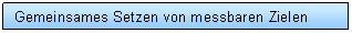 Text Box: Gemeinsames Setzen von messbaren Zielen 